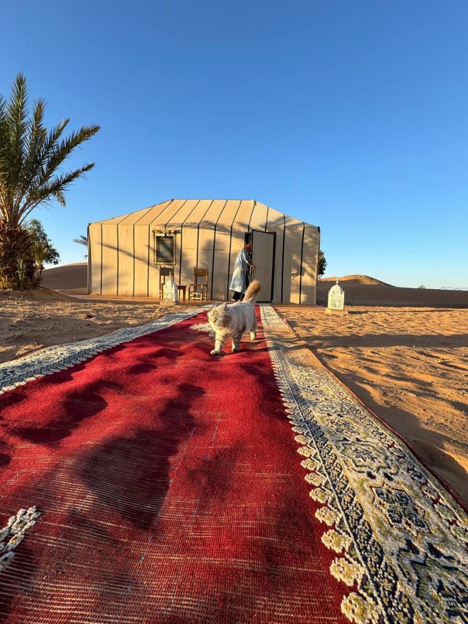 Hotel Sahara Luxury Camp Vip Merzouga Esterno foto